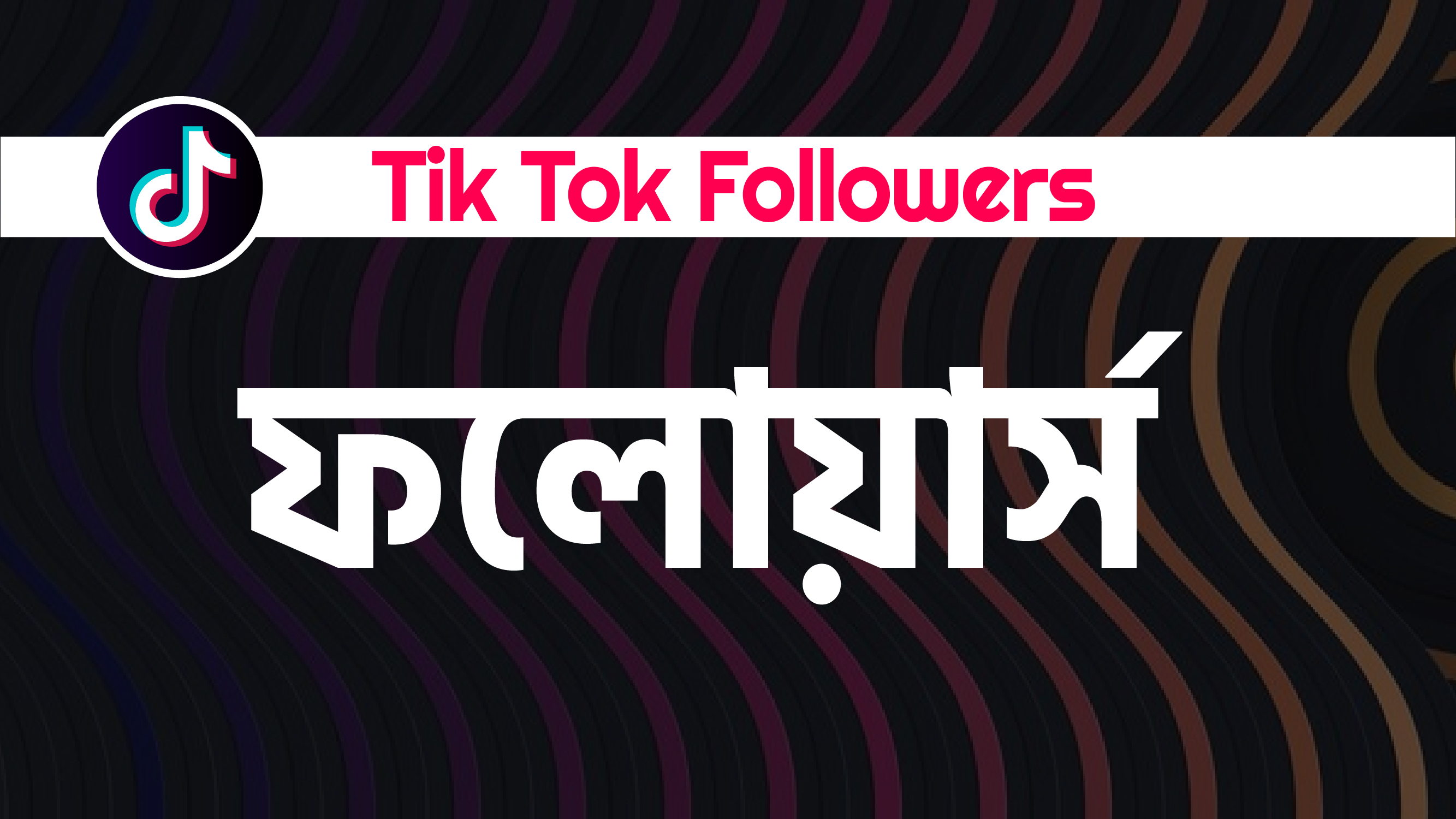 TikTok Followers
