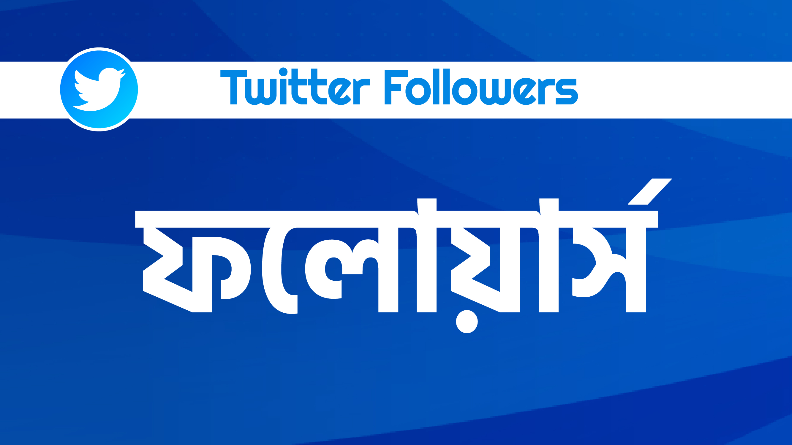 X Twitter Followers